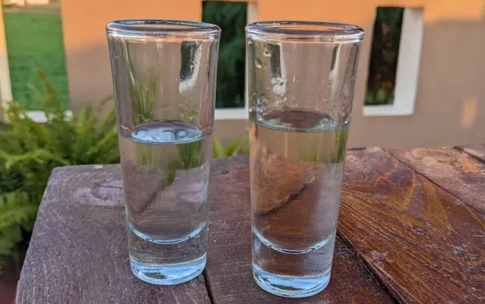 Tequila Consumption by Country – Who drinks the most tequila?