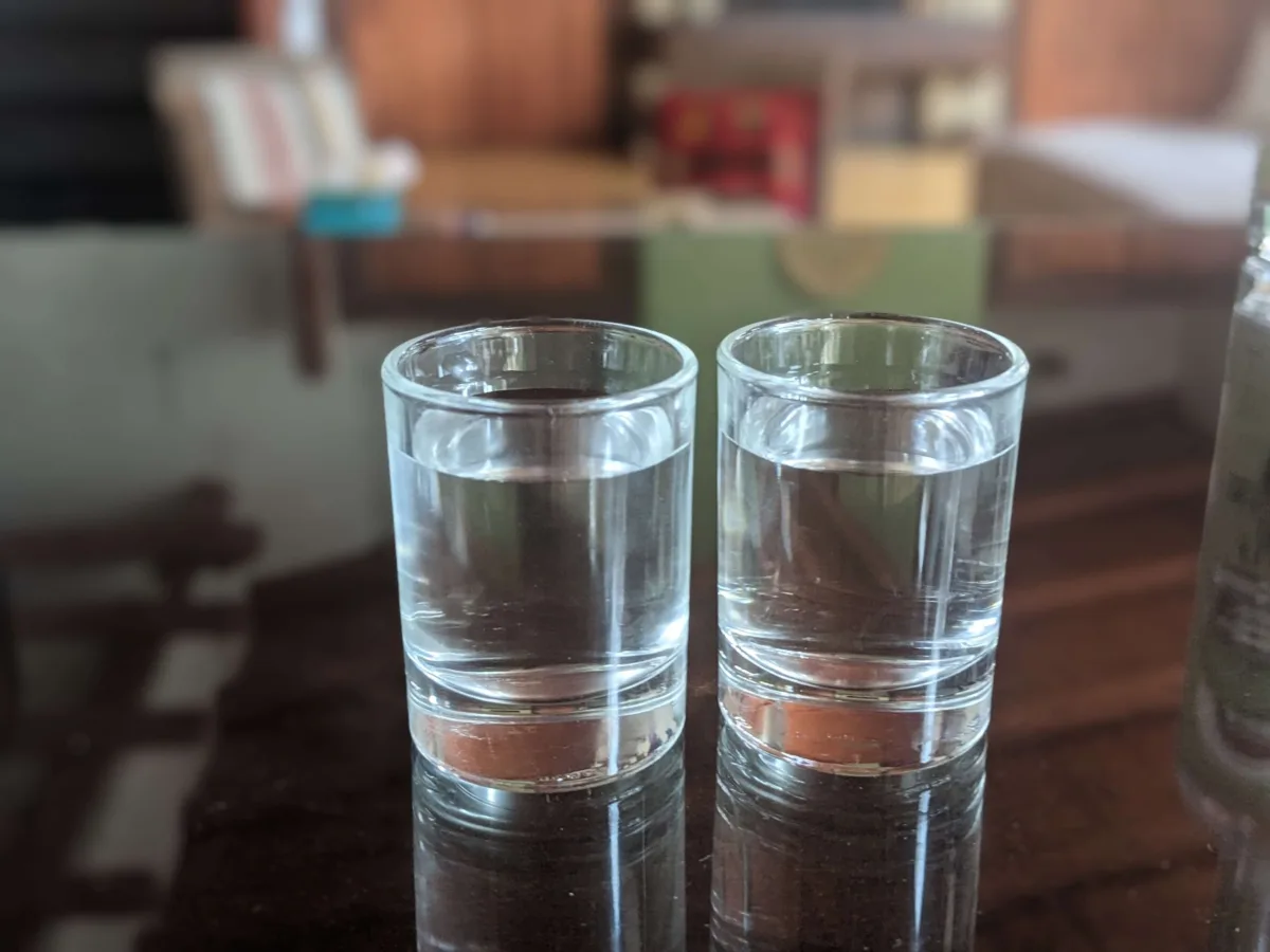 Two shot glasses with clear liquid