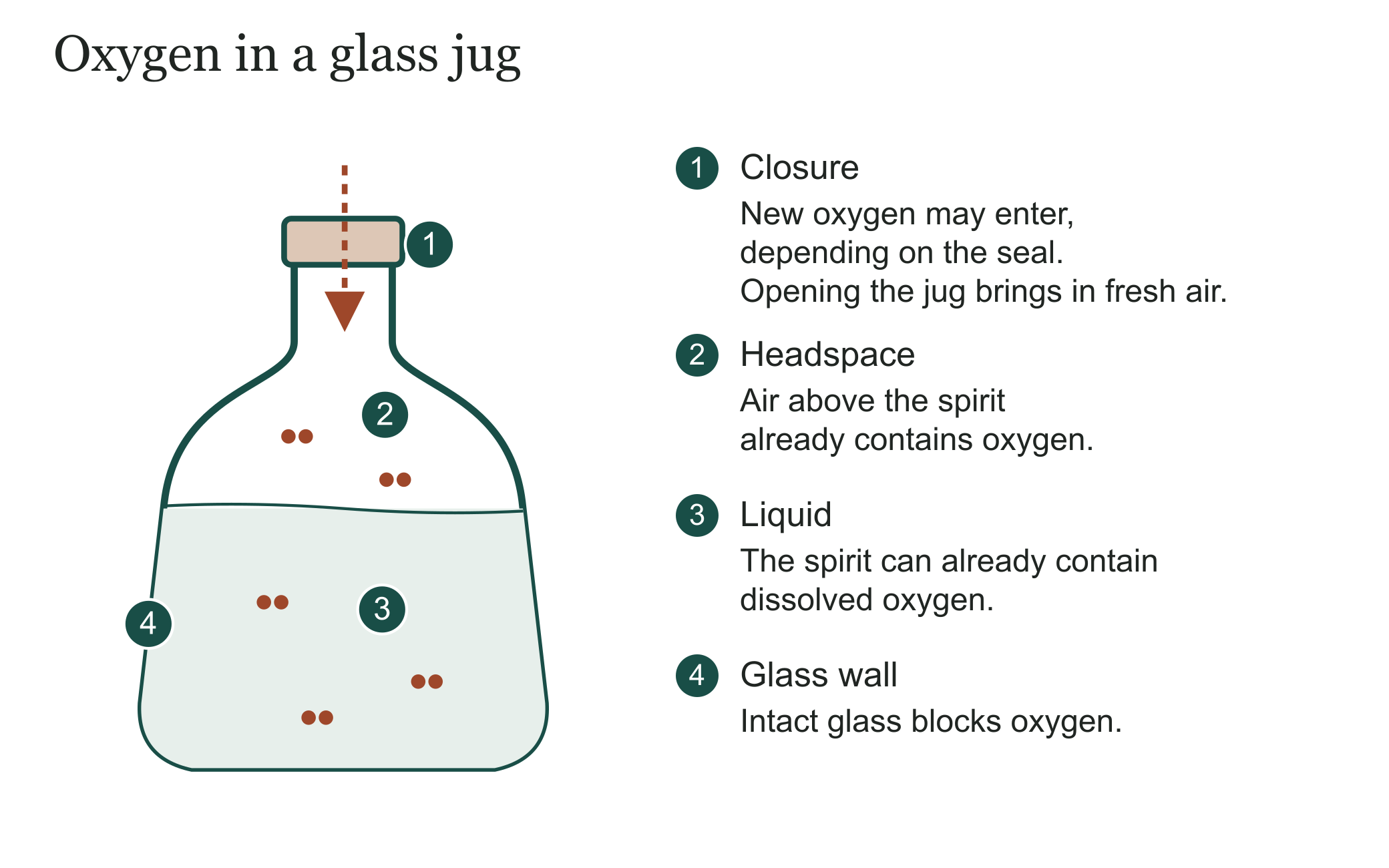 Cutaway of a closed glass jug: oxygen may enter at the closure and may already be present in the air above the spirit or dissolved in the liquid. Intact glass walls block oxygen.