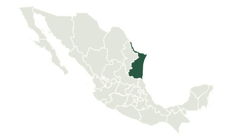 Tamaulipas highlighted within Mexico