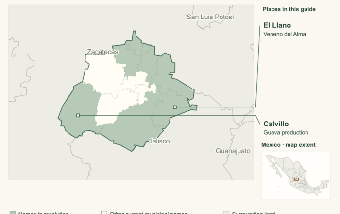 Aguascalientes mezcal: salmiana, estancos and local producers