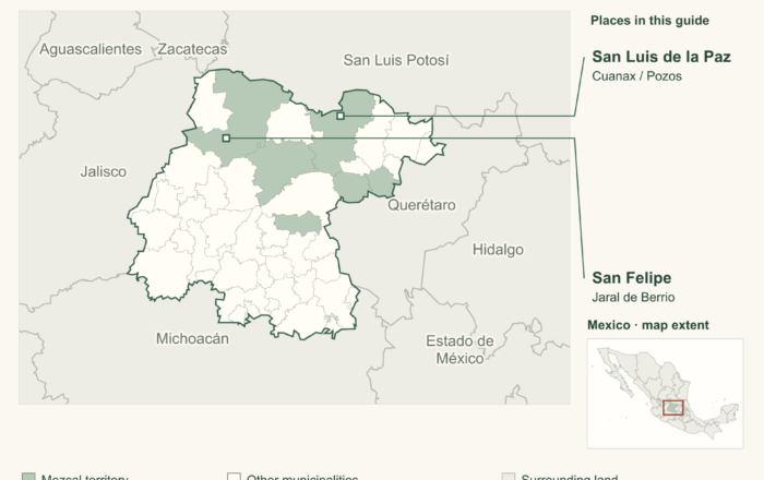 Guanajuato mezcal: salmiana, haciendas and a growing territory