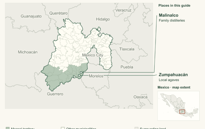 Estado de México mezcal: criollo agaves and family distilleries