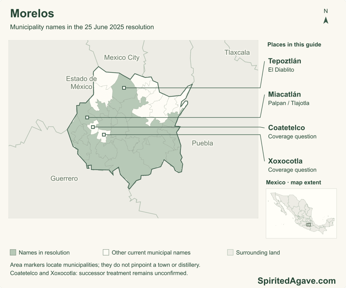 Municipality names in the 25 June 2025 resolution. 36 municipal boundaries in the featured state. Named markers are municipal areas, not exact distillery locations. Coatetelco and Xoxocotla successor-municipality treatment unconfirmed.