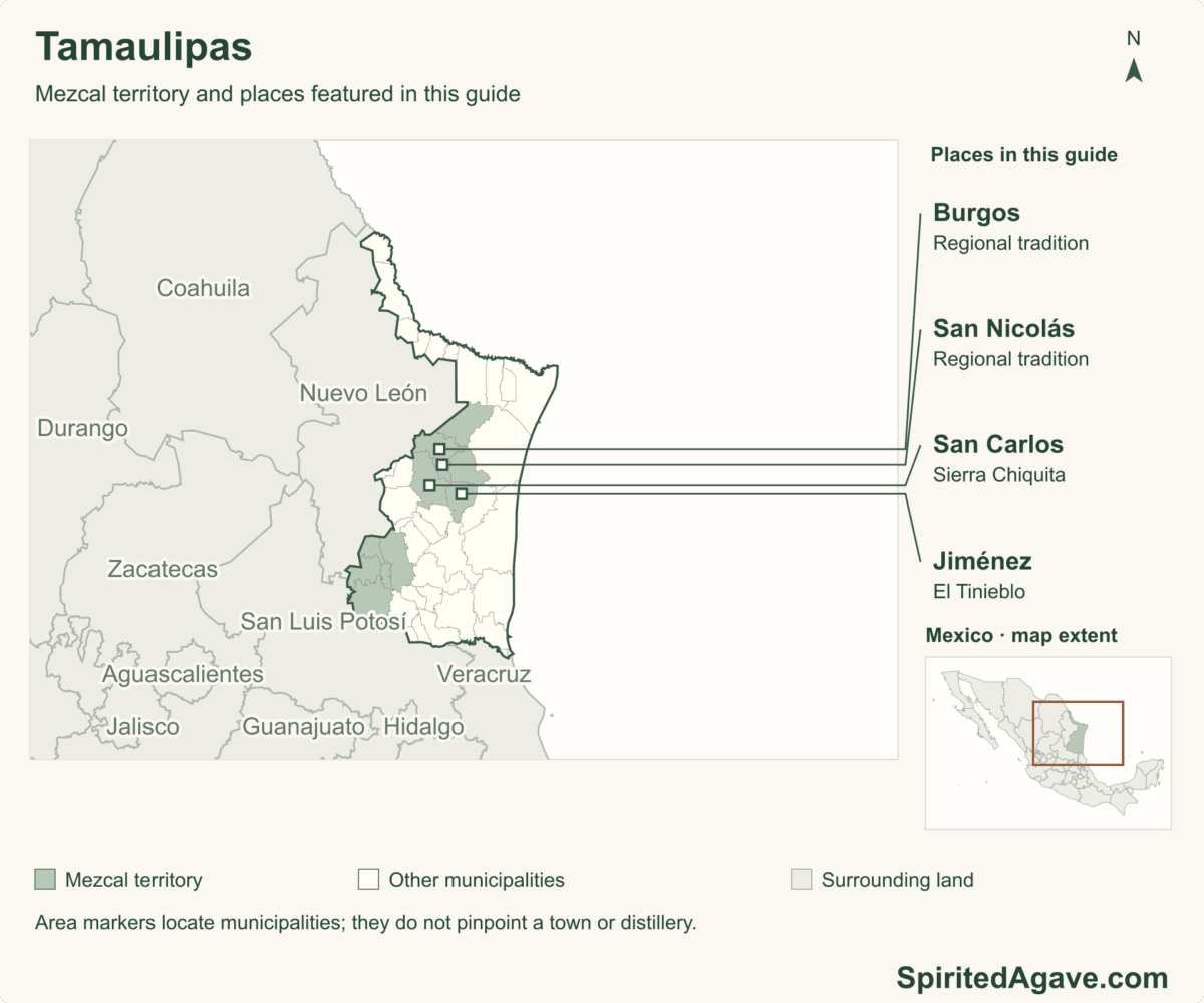 Mezcal territory and places featured in this guide. 43 municipal boundaries in the featured state. Named markers are municipal areas, not exact distillery locations.