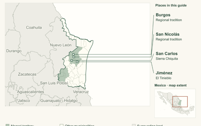 Tamaulipas mezcal: local agaves and the work of the vinata