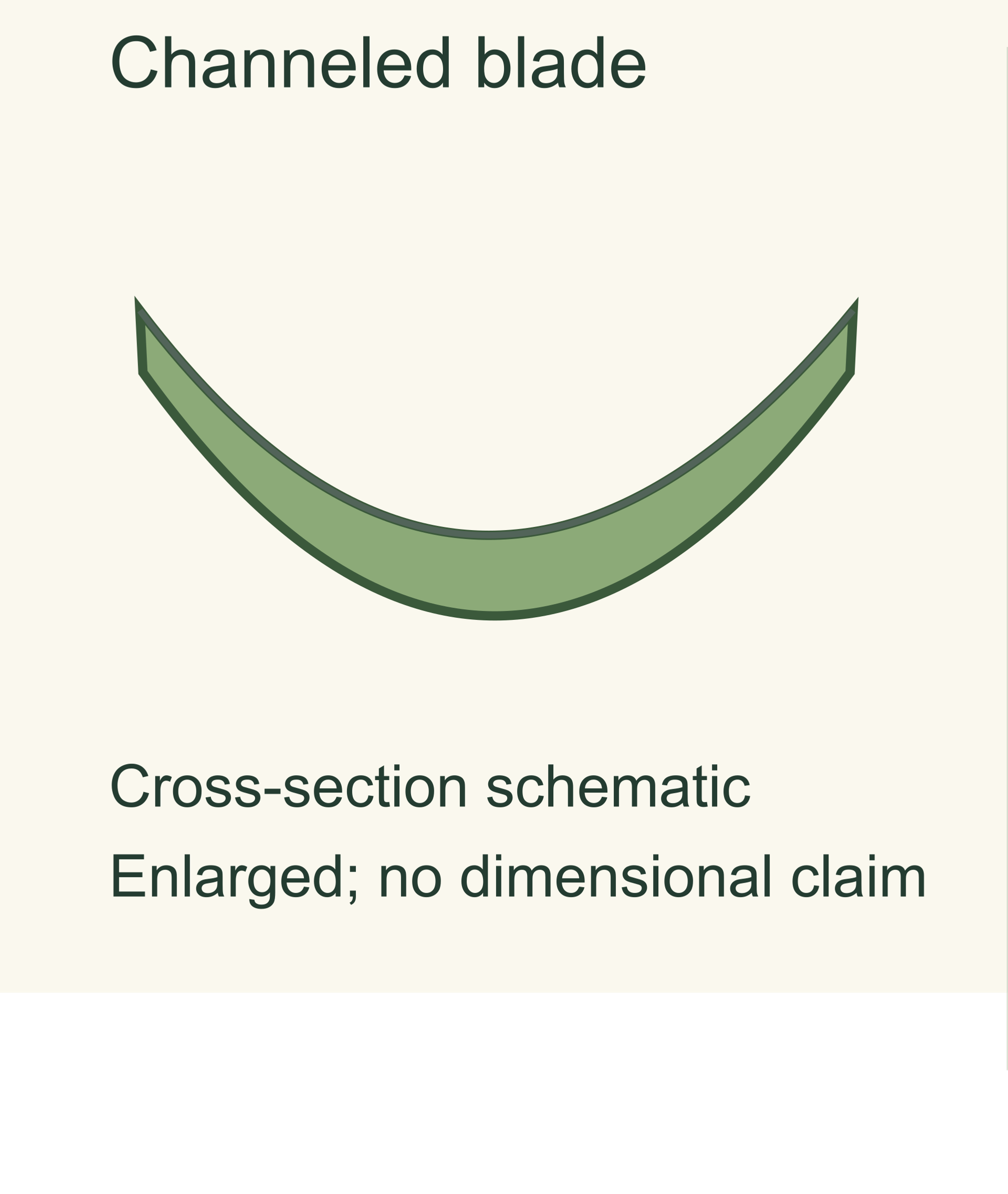 Enlarged schematic cross-section of a channeled Tepeztate leaf blade.