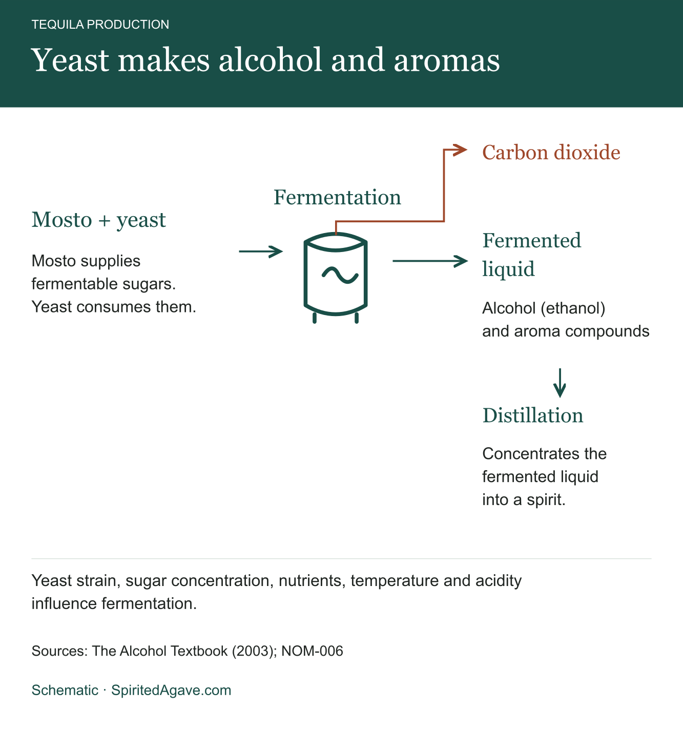 Mosto and yeast enter fermentation. Carbon dioxide is produced, while the fermented liquid contains alcohol and aroma compounds and continues to distillation.